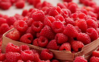 Maline (Rubus idaeus) Maline (Rubus idaeus)